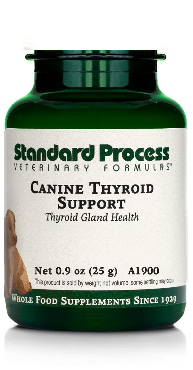 Canine Thyroid Support, 25 g