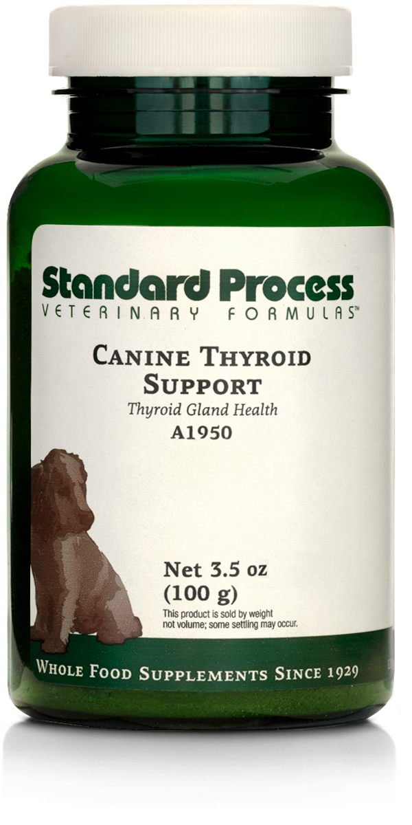 Canine Thyroid Support, 100 g